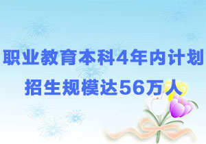<b>职业教育本科4年内计划招生规模达56万人</b>