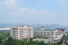 <b>重庆竟成职业技术学校（原渝北竟</b>