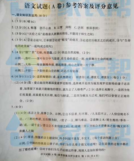 2020年重庆中考语文A卷(图片版含答案)
