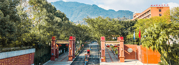 四川外国语大学