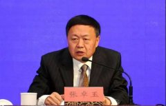 张卓玉：新课标背景下的