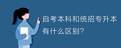 自考本科和统招专升本有