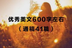 优秀美文600字左右（通稿